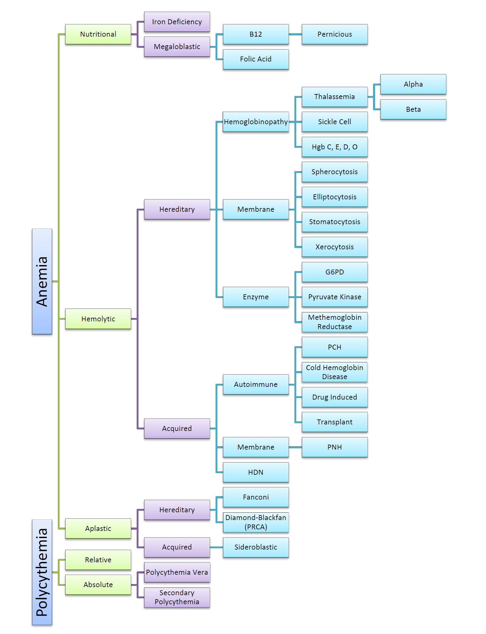 Hematology Flow Chart